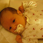 DSCF0163.JPG