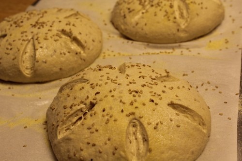 [semolina-spelt-turtles017%255B5%255D.jpg]
