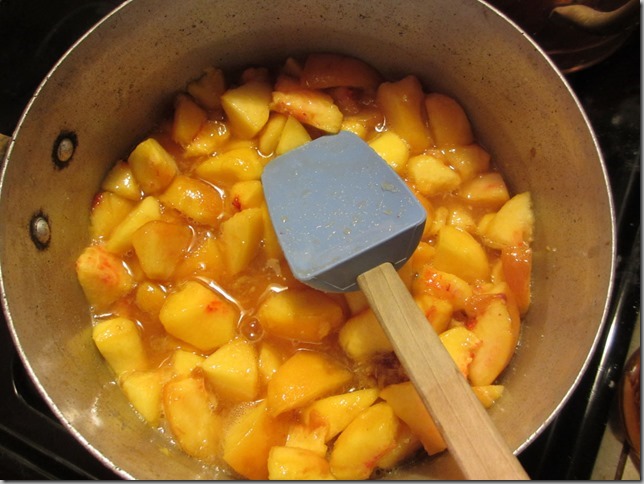 peach & bourbon preserves (5)