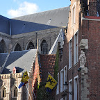 DSC_1117.jpg