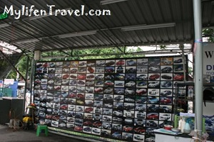 IMG_8725 IMG_8725