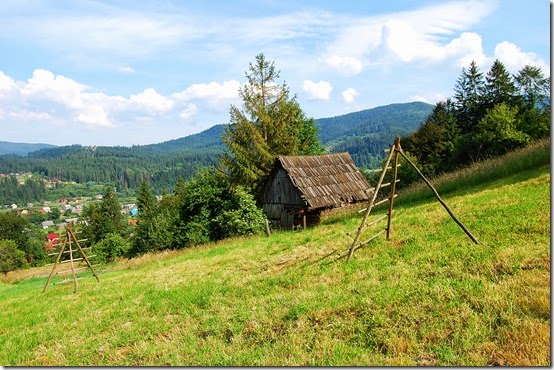 DSC_0585 DSC_0585