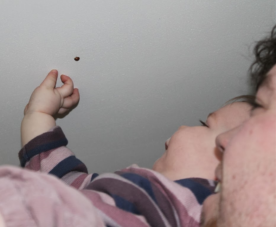 [IMG_2917.jpg]