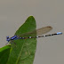 P1040320