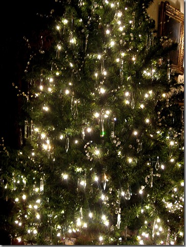 evergreen_7238 evergreen_7238