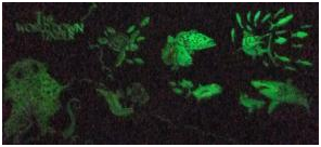 [image%255B441%255D.png]