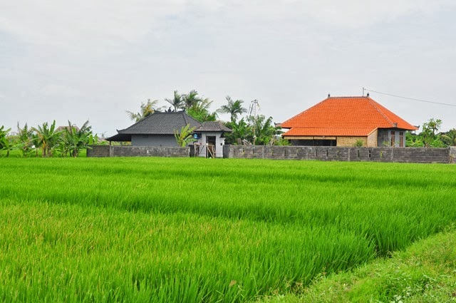 [DSC_0064%255B3%255D.jpg]