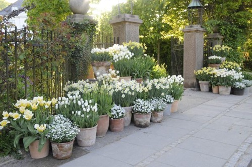 [claus20110507_172930%255B5%255D.jpg]
