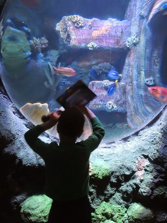 [DSCN8742%255B3%255D.jpg]