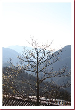 IMG_4860 IMG_4860