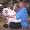 A day at the doggie spa 024.jpg