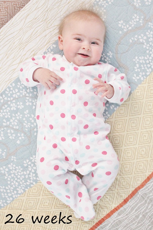 [IMG_1081---Copy5.jpg]