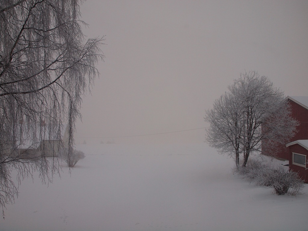[P1195470%255B4%255D.jpg]