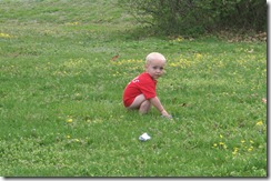 IMG_4420 IMG_4420