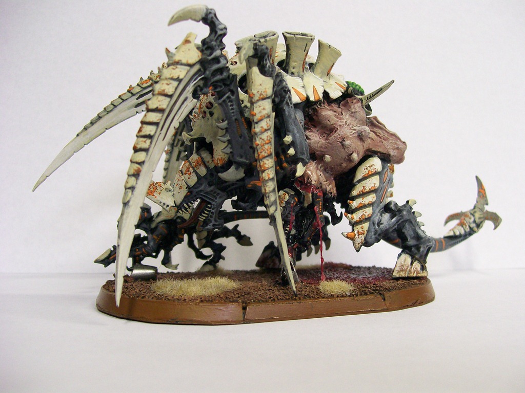 [Tervigon%2520%25281%2529%255B3%255D.jpg]