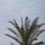 2006_07_21 -14-01 _027.JPG