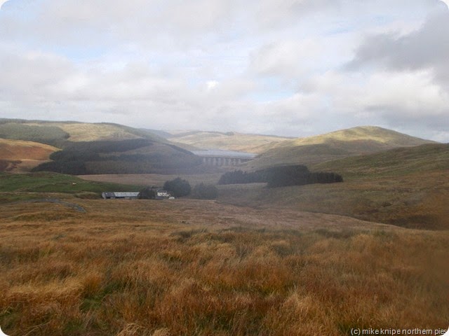 nant-y-moch from drybedd