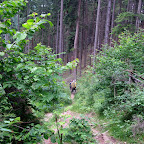 IMG_6347.JPG