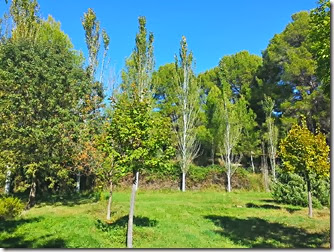 2013-10-31_12-42-31_HDR 2013-10-31_12-42-31_HDR