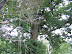 Mt. Vernon In August