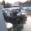 IMG_3583.JPG