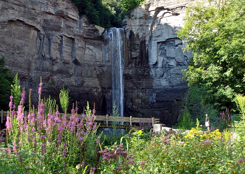 [01e%2520-%2520Gorge%2520Trail%2520-%2520Taughannock%2520Falls%2520and%2520wildflowers%255B1%255D.jpg]