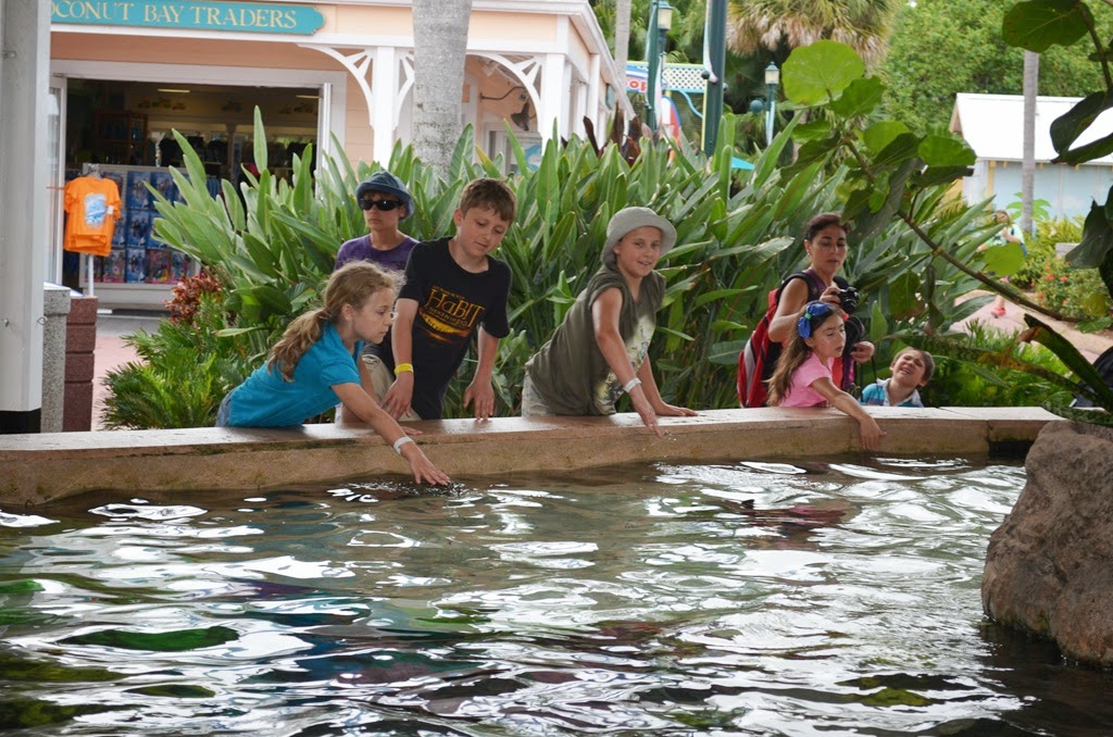 [DSC_8974%255B3%255D.jpg]