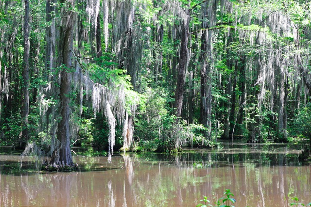 [Pond%2520%25281%2520of%25201%2529%255B4%255D.jpg]