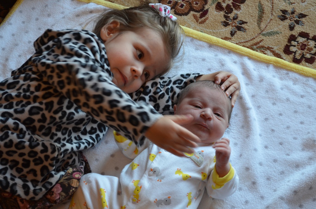 [DSC_3651%255B5%255D.jpg]