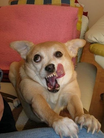 [viral-picdump-a3f8ee%255B2%255D.jpg]