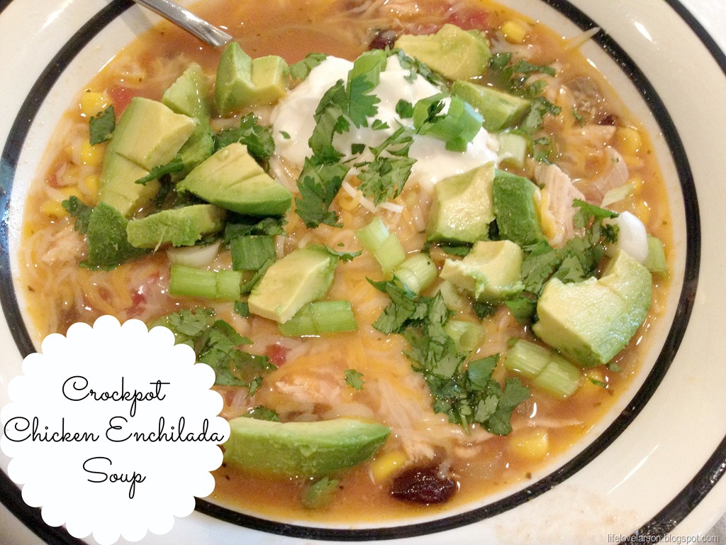[chicken%2520enchilada%2520soup%25201%255B4%255D.jpg]