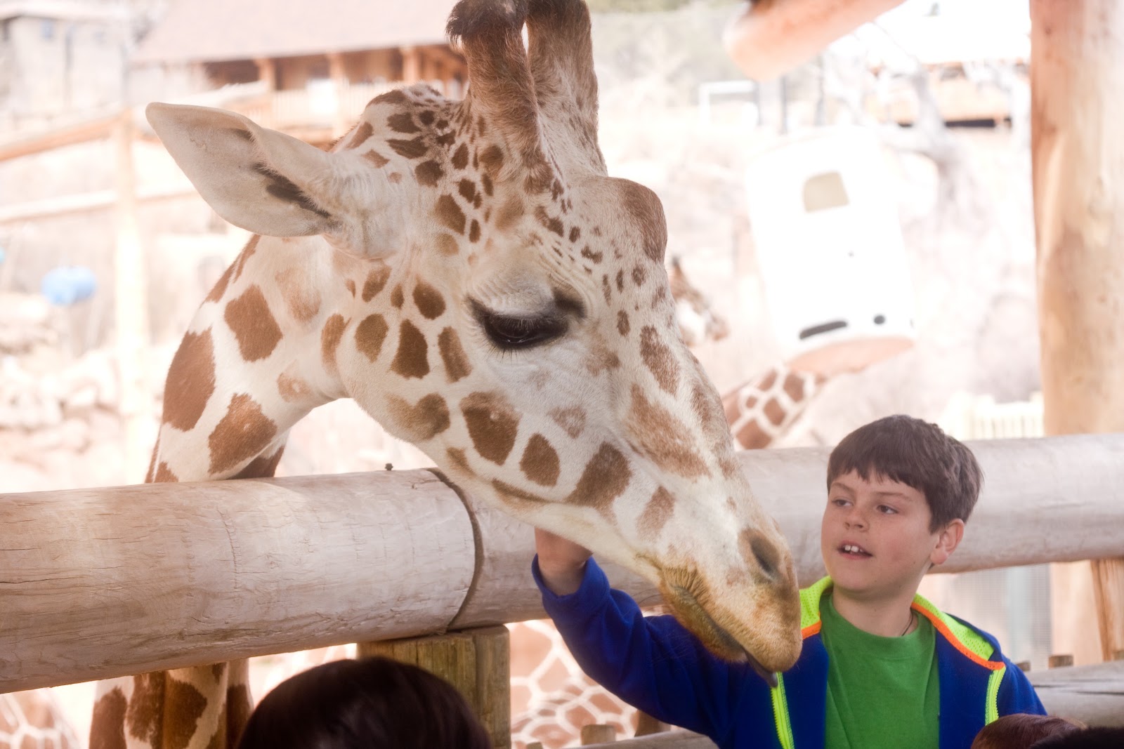 [03-28-13_giraffe-w-boy4.jpg]