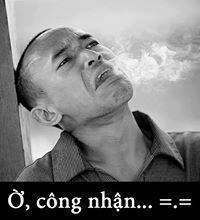 anh troll facebook comment (12) anh troll facebook comment (12)