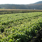 DSCN2090.JPG
