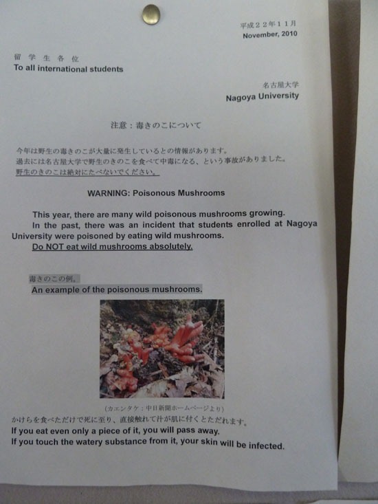 [P1020504%255B4%255D.jpg]
