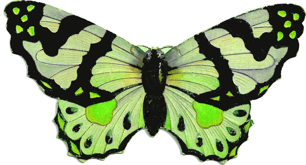 [butterflygreen%255B15%255D.jpg]