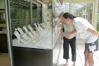 Mirage Hotel Shopping and Jewelry