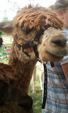 2011-09-25 13.26.47.jpg