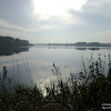 dsc06270.jpg