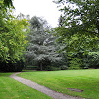 DSC_6348.jpg
