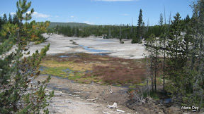 IMG_4046.jpg