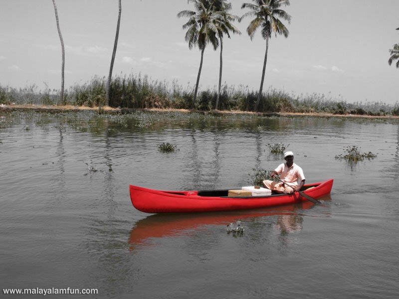 Oru Kuttanadan Yathra: The scenic view of Kerala(South India)