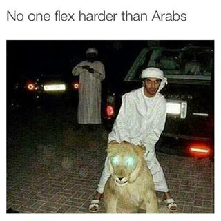 NOBODY FLEX HARDER THAN ARABS- FUNNY ARABS PICS | FUNNY INDIAN PICTURES