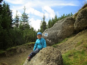 marcaj-zona-forestiera.jpg