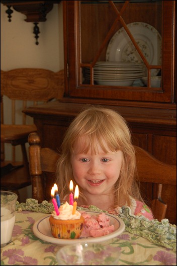 Sophia's 4th Bday and June-July 2011 128