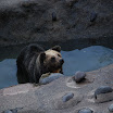 hokkaido_576.jpg