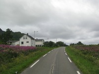 IMG_5631 IMG_5631