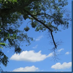 IMG_0753 IMG_0753