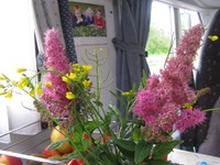 IMG_7487 IMG_7487