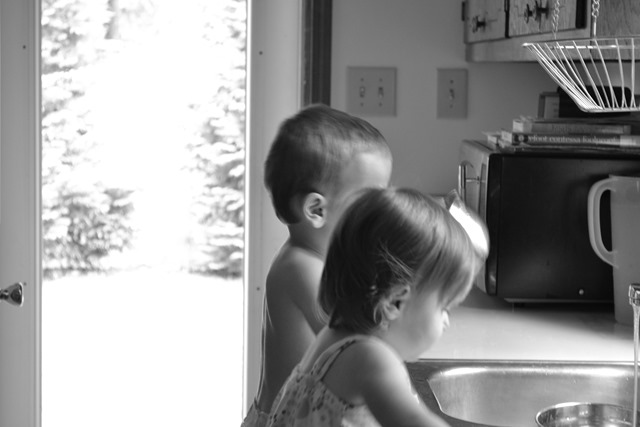 DSC_0096 DSC_0096